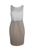 Two Toned White and Brown Sheath Dress
